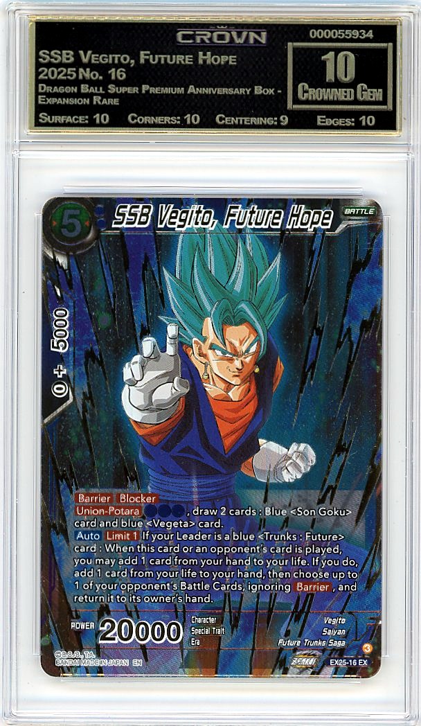 SSB Vegito, Future Hope