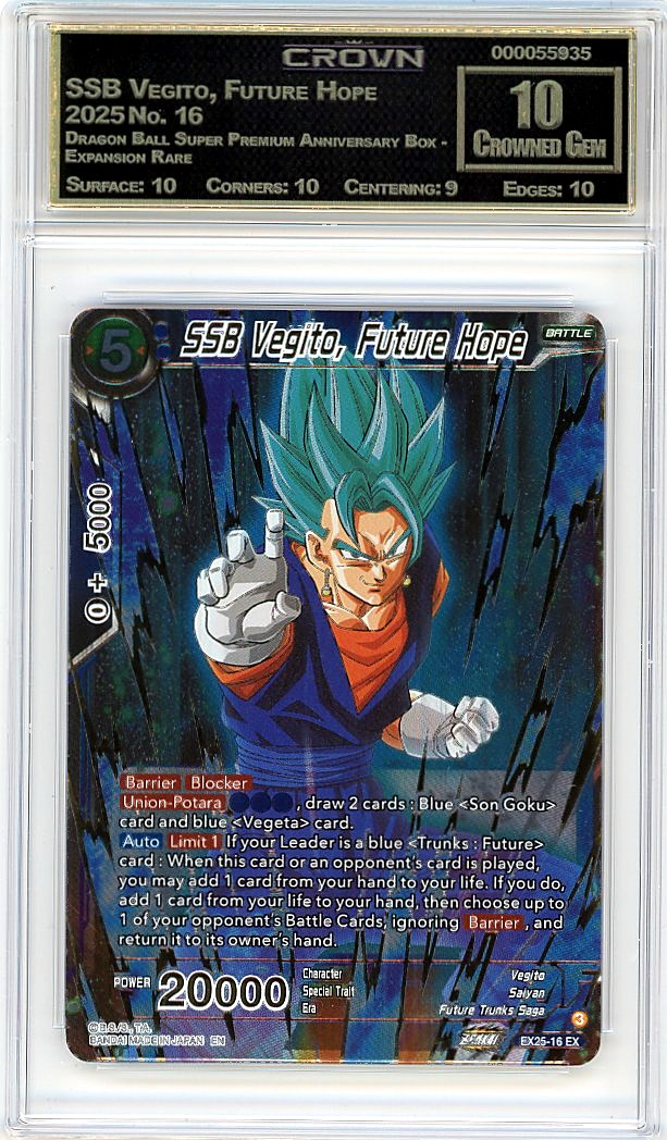 SSB Vegito, Future Hope