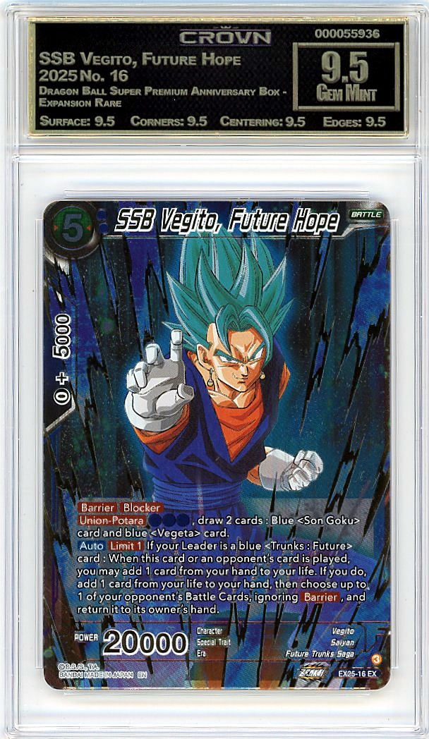 SSB Vegito, Future Hope