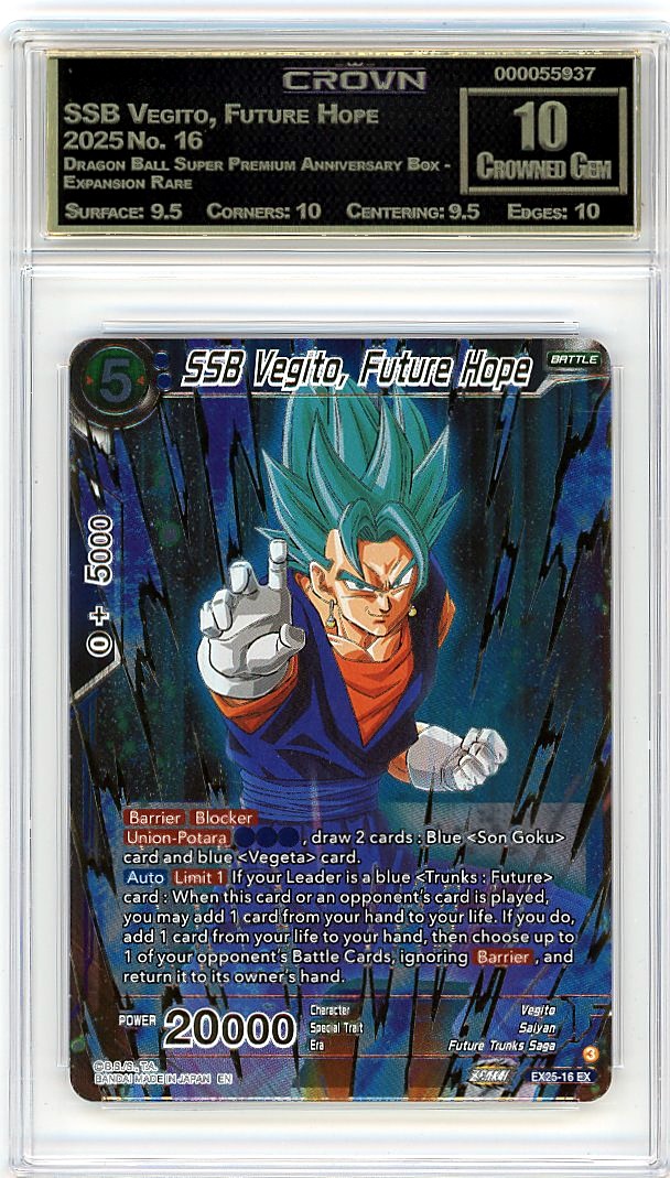 SSB Vegito, Future Hope