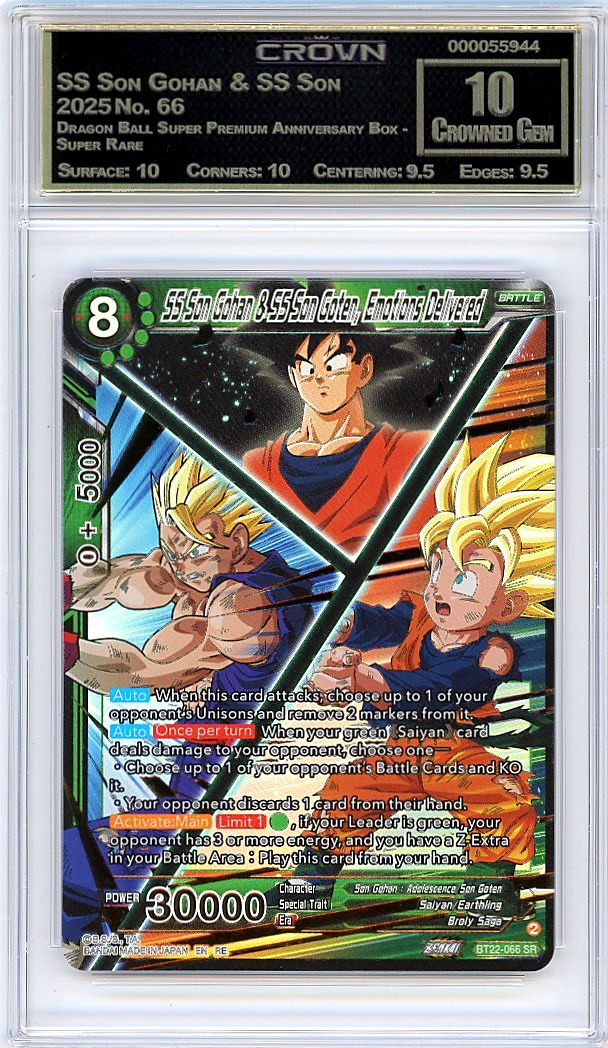 SS Son Gohan & SS Son Goten..