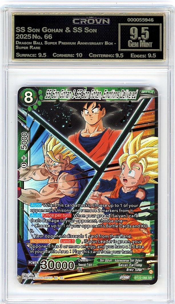 SS Son Gohan & SS Son Goten..