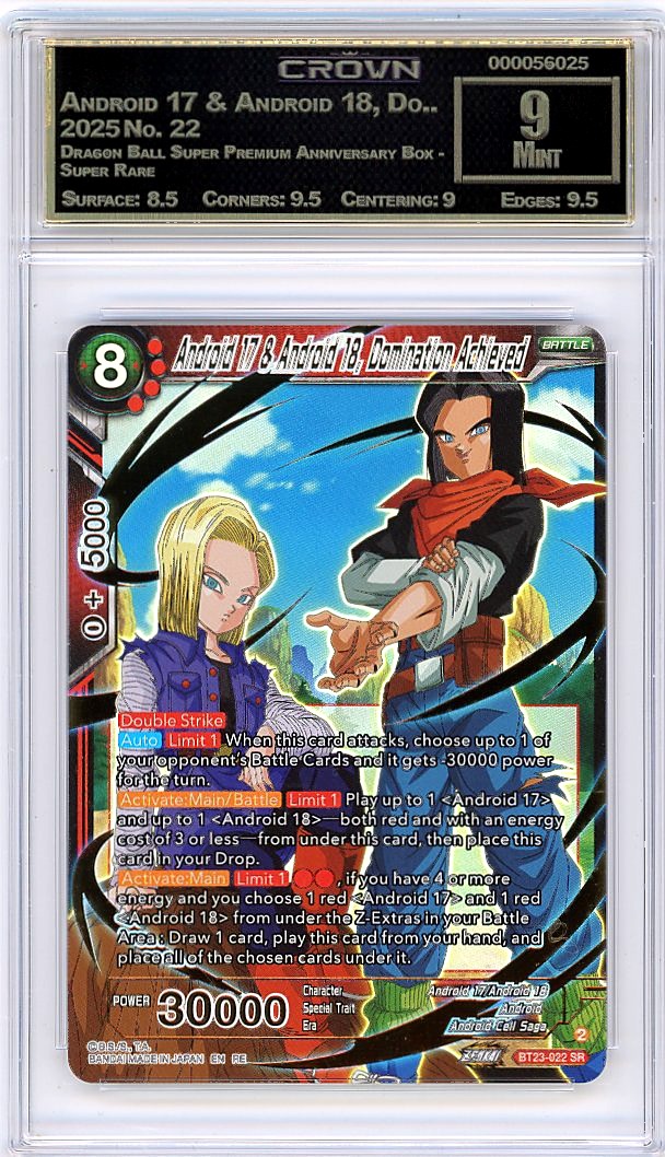 Android 17 & Android 18, Do..
