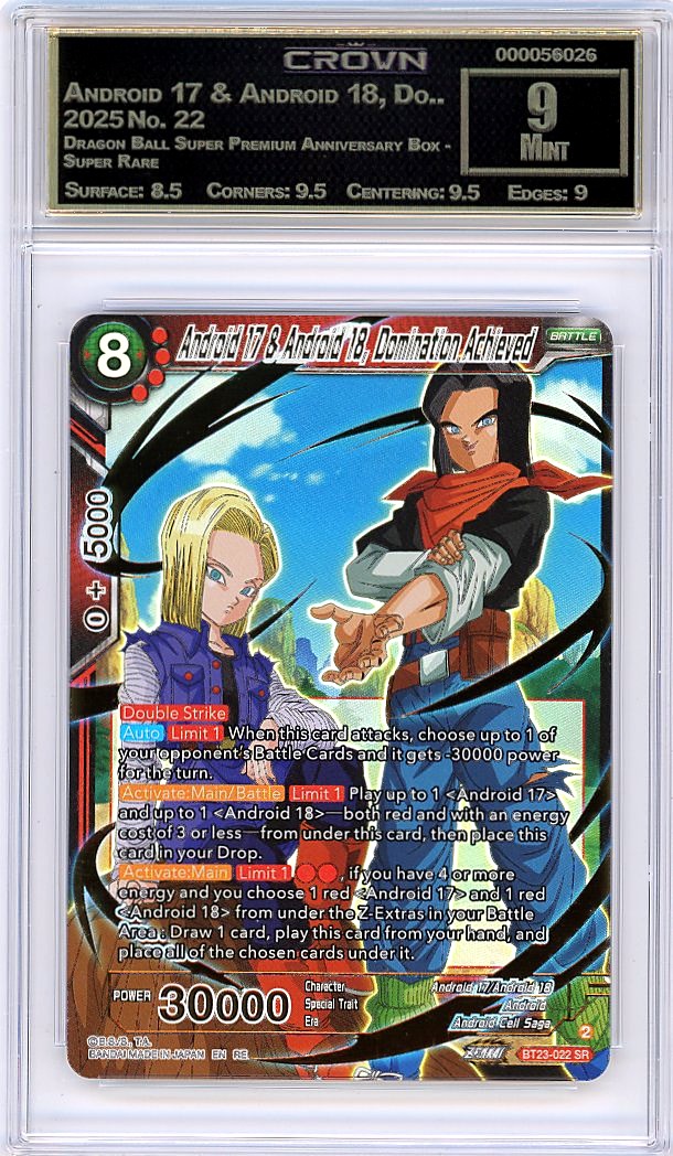 Android 17 & Android 18, Do..