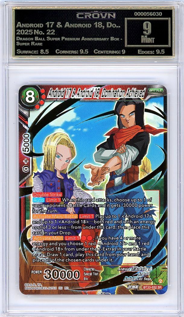 Android 17 & Android 18, Do..