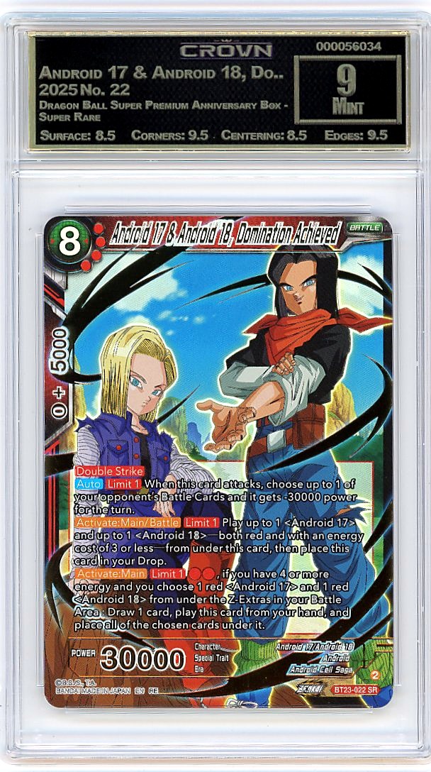 Android 17 & Android 18, Do..