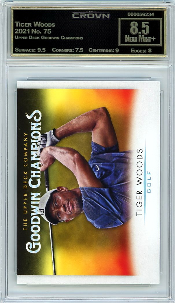 Tiger Woods