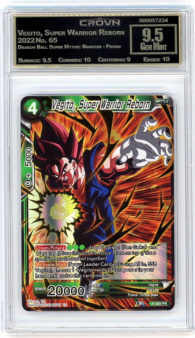 Vegito, Super Warrior Reborn