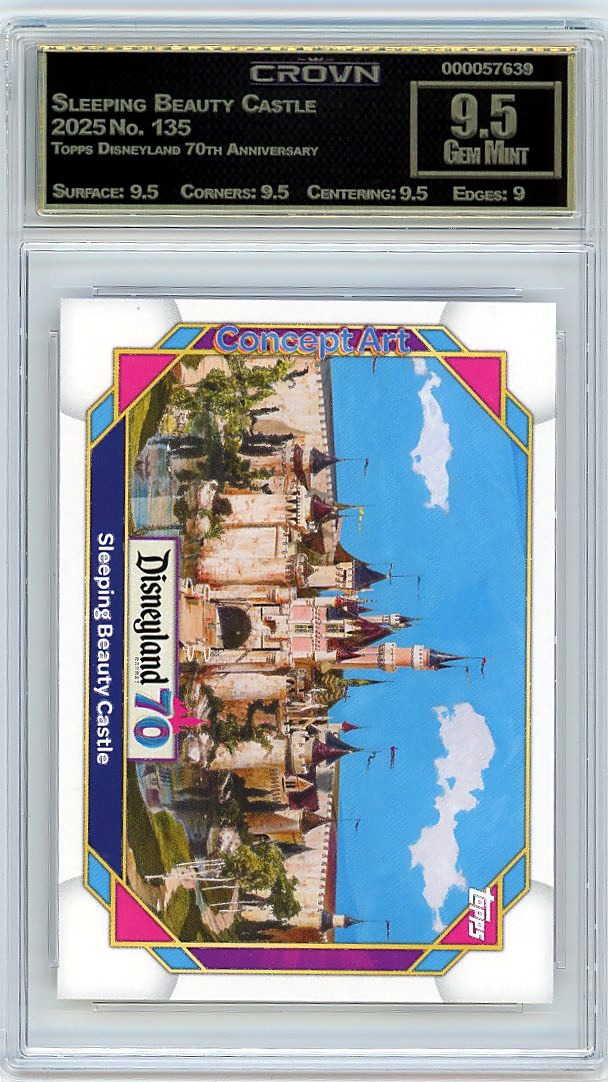Sleeping Beauty Castle