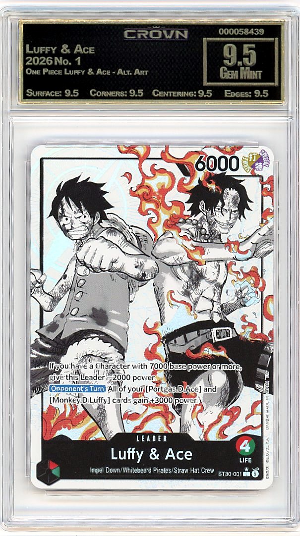 Luffy & Ace