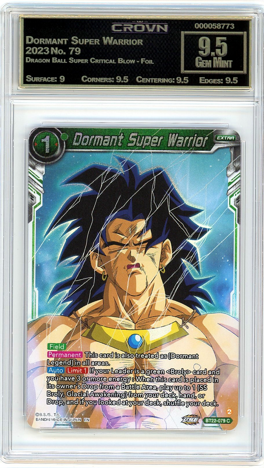 Dormant Super Warrior