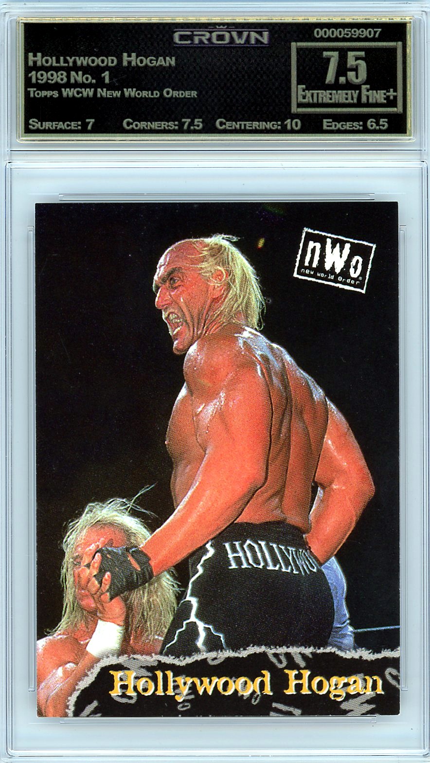 Hollywood Hogan