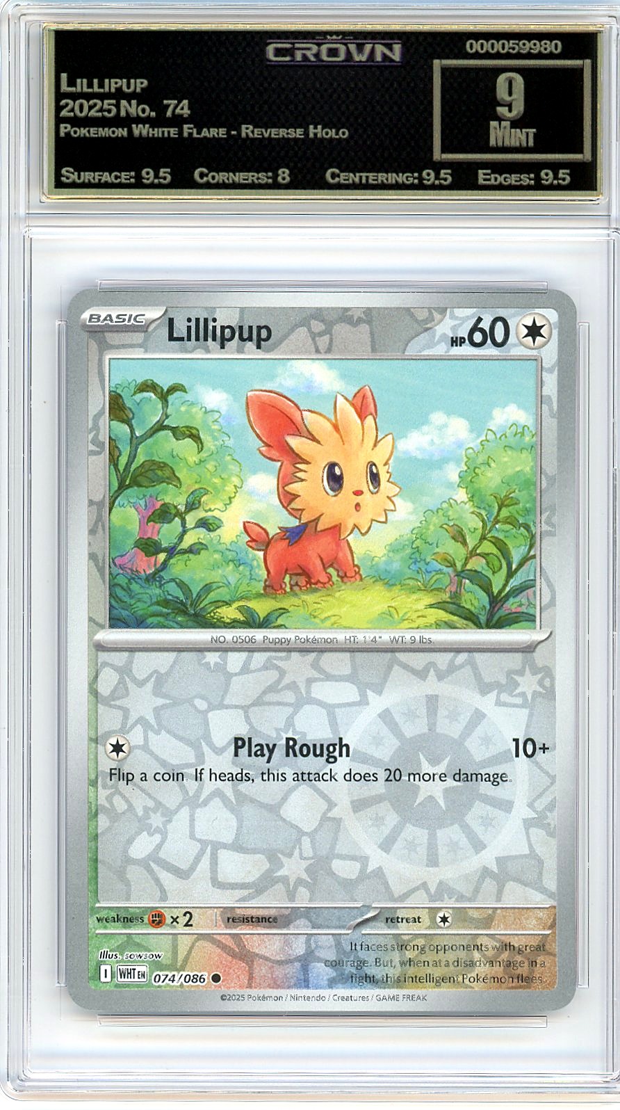 Lillipup