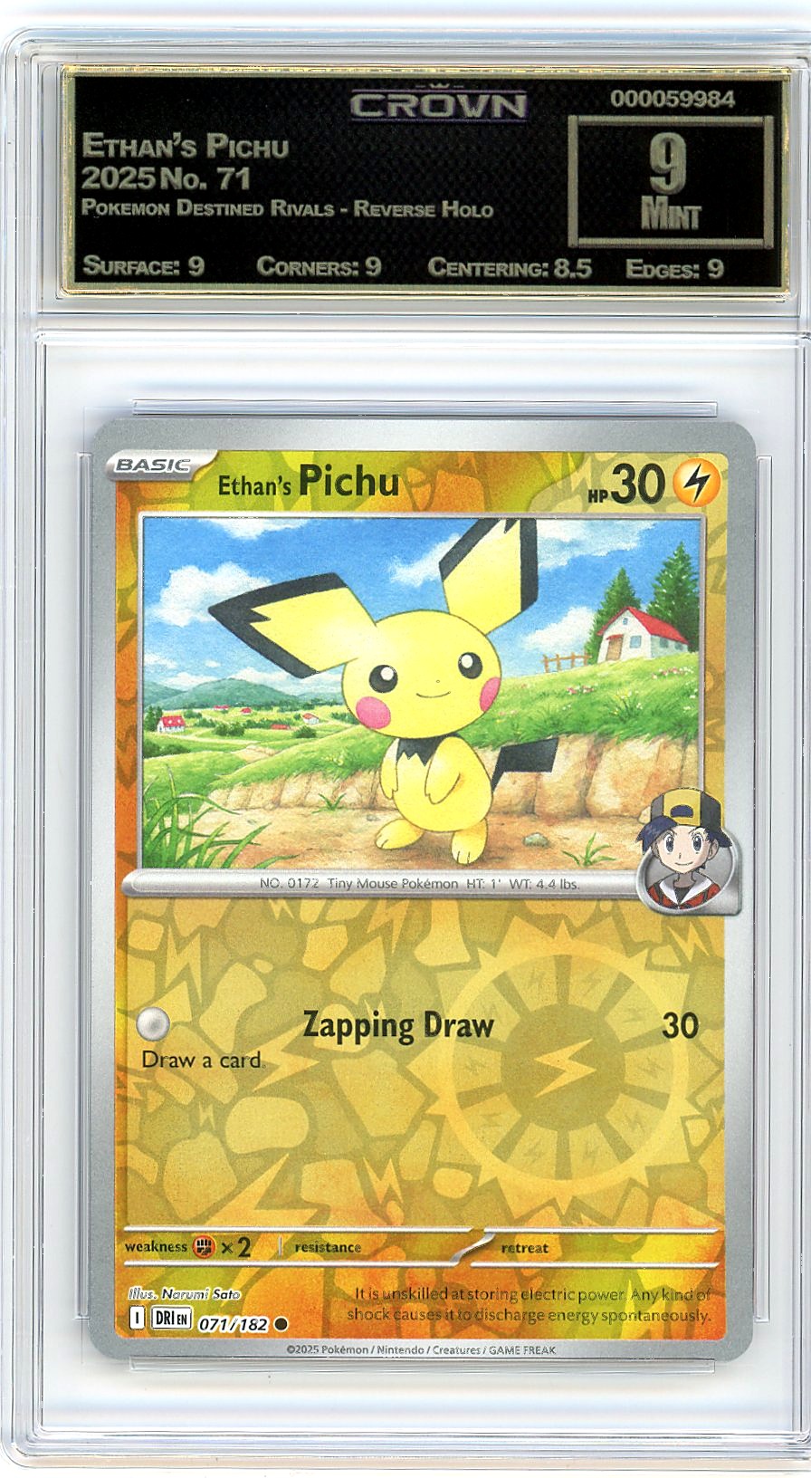 Ethan's Pichu