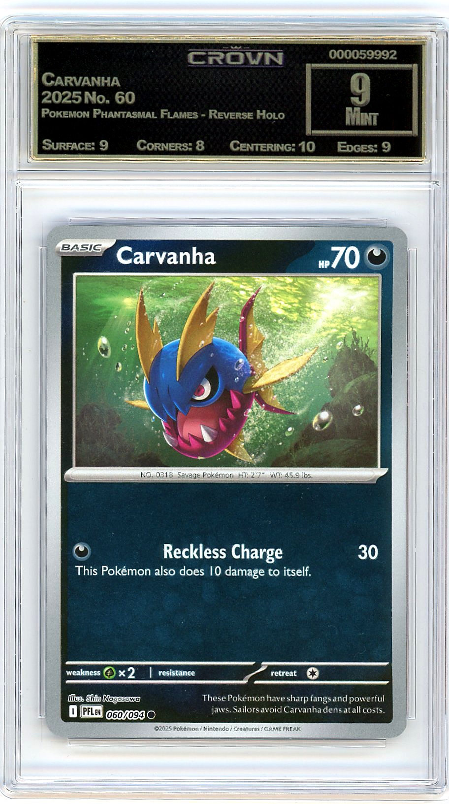 Carvanha