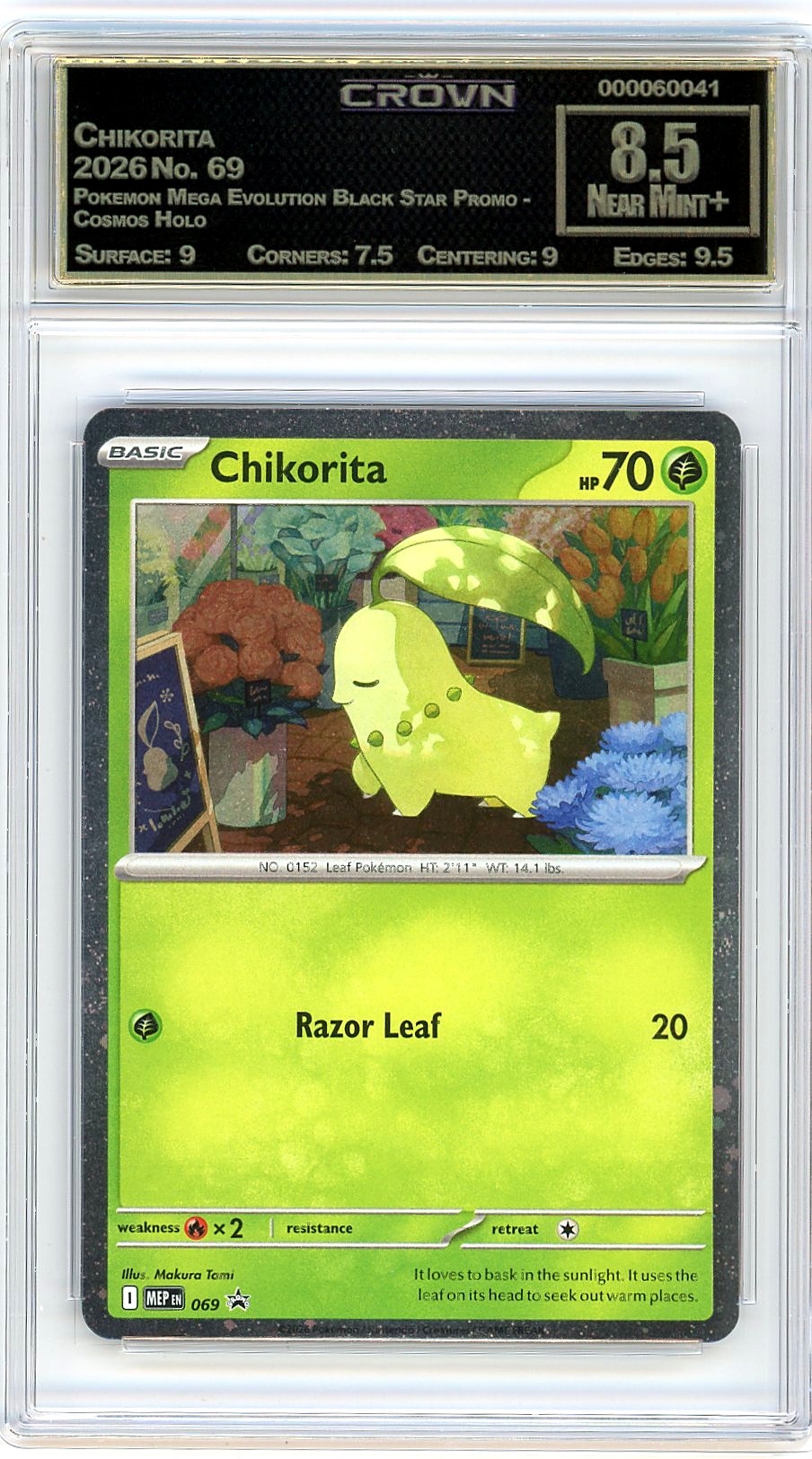 Chikorita