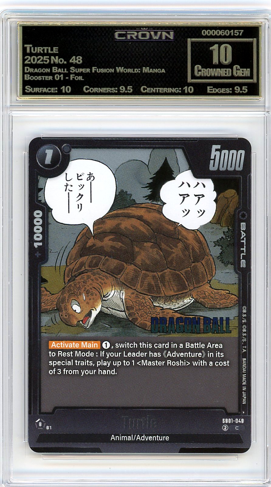 Turtle